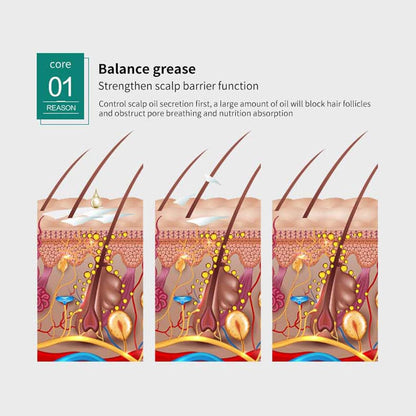 Japanese hair Growth Spray | BUY 1 GET 1 FREE