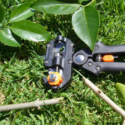 Grafting Tool