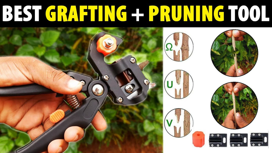 Grafting Tool